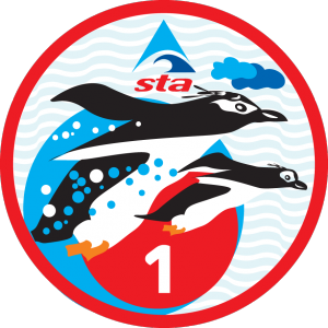 Rockhopper series award image